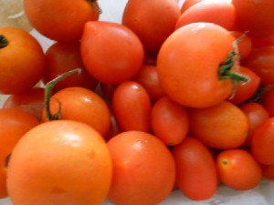 �摜(300x225)�E�g��摜(480x360)