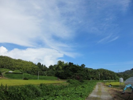 画像(435x326)・拡大画像(640x480)