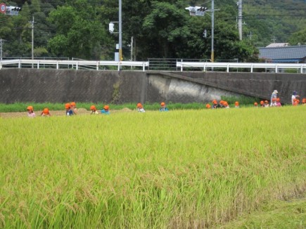 画像(435x326)・拡大画像(640x480)