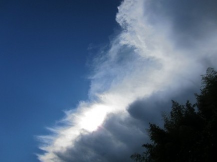 画像(435x326)・拡大画像(640x480)