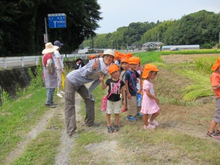 画像(435x326)・拡大画像(640x480)