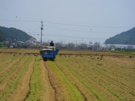 画像(435x326)・拡大画像(640x480)