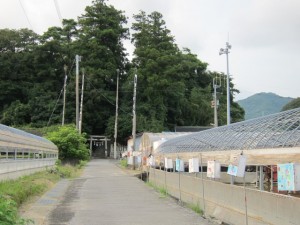 �摜(300x225)�E�g��摜(640x480)