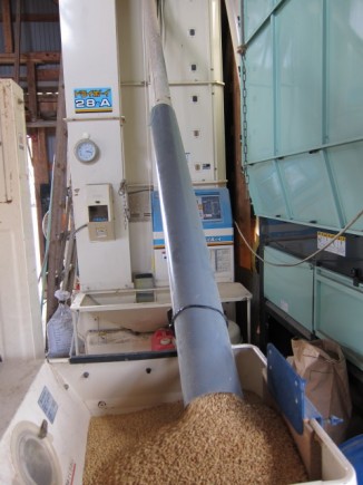 画像(326x435)・拡大画像(480x640)