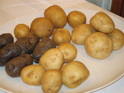 �摜(435x326)�E�g��摜(640x480)