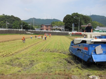 画像(435x326)・拡大画像(640x480)