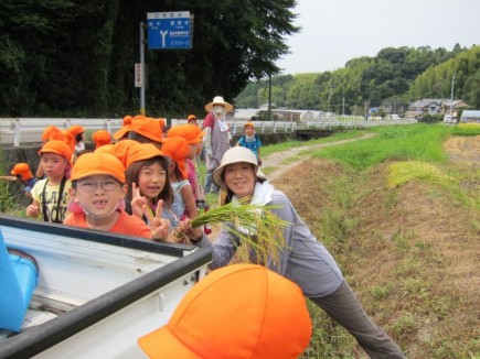 画像(435x326)・拡大画像(640x480)