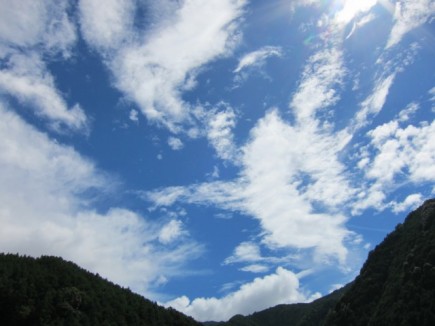 画像(435x326)・拡大画像(640x480)