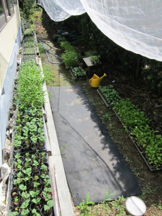 画像(326x435)・拡大画像(480x640)