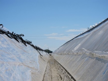 画像(435x326)・拡大画像(640x480)