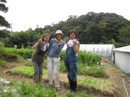 画像(435x326)・拡大画像(640x480)