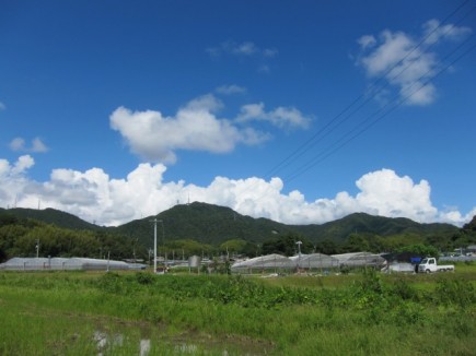 画像(435x326)・拡大画像(640x480)