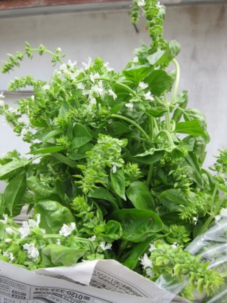 �摜(326x435)�E�g��摜(480x640)