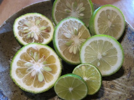 �摜(435x326)�E�g��摜(640x480)