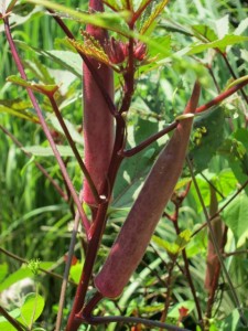 画像(225x300)・拡大画像(480x640)