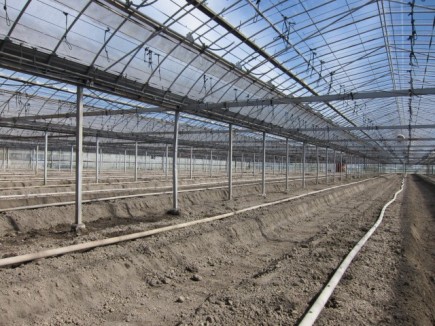 �摜(435x326)�E�g��摜(640x480)