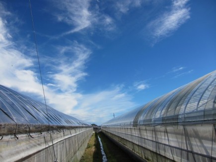 �摜(435x326)�E�g��摜(640x480)