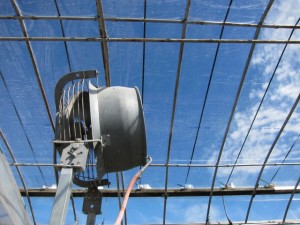 �摜(300x225)�E�g��摜(640x480)