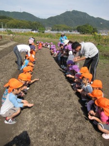 �摜(225x300)�E�g��摜(480x640)