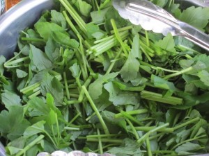 �摜(300x225)�E�g��摜(640x480)