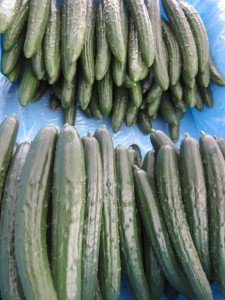 �摜(225x300)�E�g��摜(480x640)