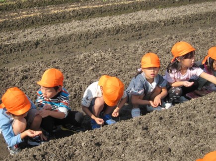 �摜(435x326)�E�g��摜(640x480)