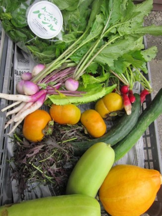 �摜(326x435)�E�g��摜(480x640)