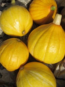 �摜(225x300)�E�g��摜(480x640)