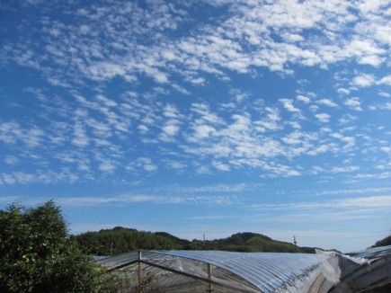 �摜(435x326)�E�g��摜(640x480)