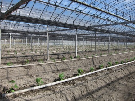 �摜(435x326)�E�g��摜(640x480)