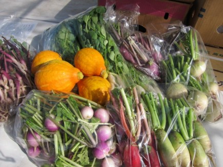 �摜(435x326)�E�g��摜(640x480)