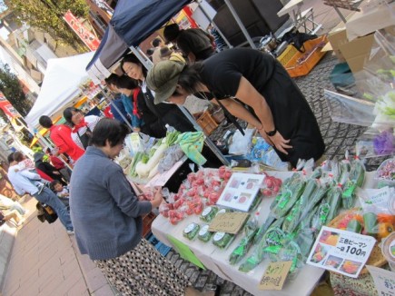 �摜(435x326)�E�g��摜(640x480)