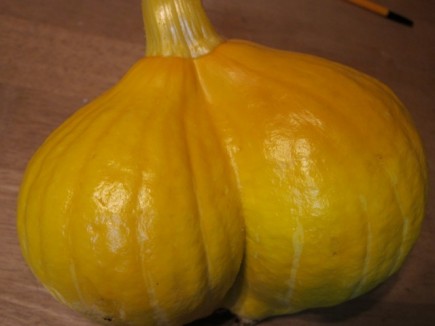 �摜(435x326)�E�g��摜(640x480)