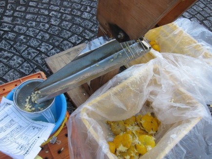 �摜(435x326)�E�g��摜(640x480)