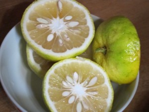 画像(300x225)・拡大画像(640x480)