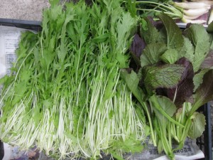 �摜(300x225)�E�g��摜(640x480)