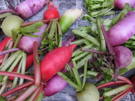 �摜(435x326)�E�g��摜(640x480)