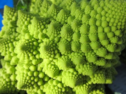 画像(435x326)・拡大画像(640x480)