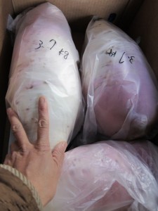 画像(225x300)・拡大画像(480x640)