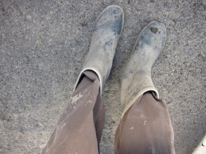 �摜(300x225)�E�g��摜(640x480)