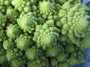 画像(300x225)・拡大画像(640x480)