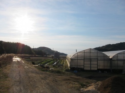 �摜(435x326)�E�g��摜(640x480)