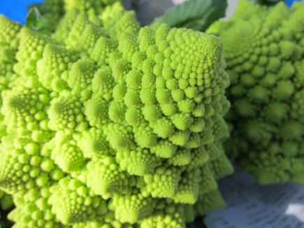 画像(435x326)・拡大画像(640x480)