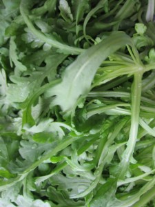 画像(225x300)・拡大画像(480x640)