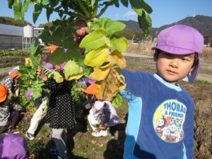 �摜(300x225)�E�g��摜(640x480)