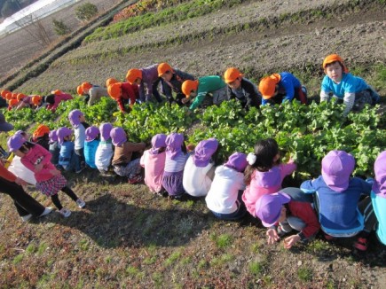 �摜(435x326)�E�g��摜(640x480)