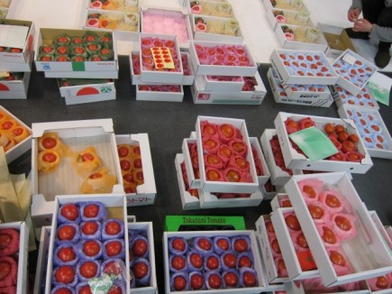 �摜(435x326)�E�g��摜(640x480)