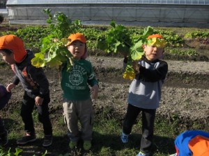 �摜(300x225)�E�g��摜(640x480)