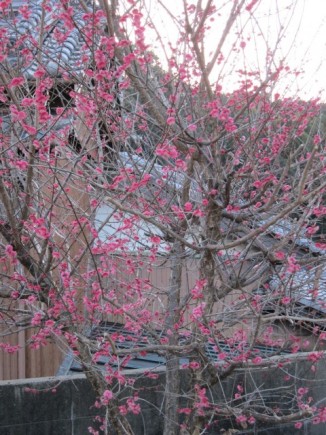 �摜(326x435)�E�g��摜(480x640)