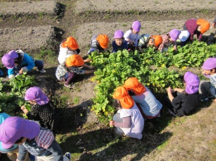 �摜(435x326)�E�g��摜(640x480)